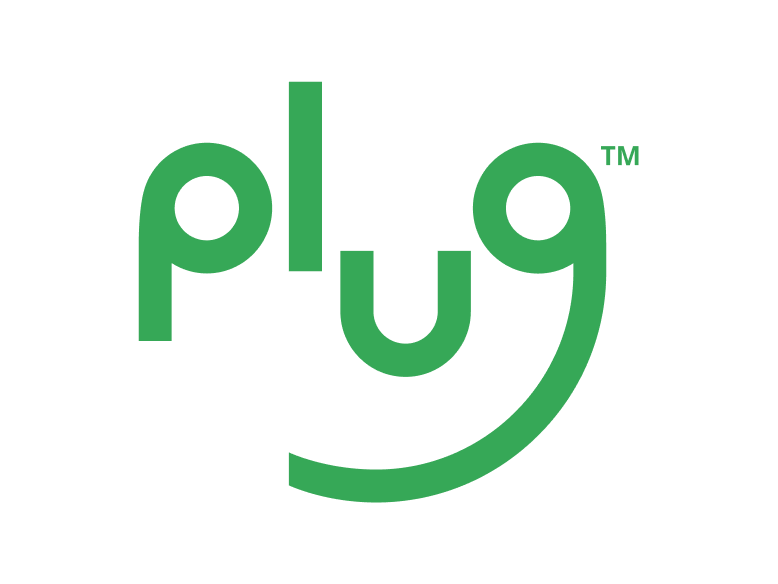 Plug