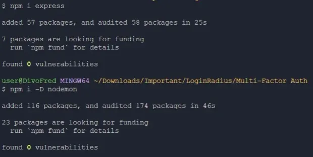 Express and Nodemon Installation
