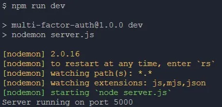 Express server