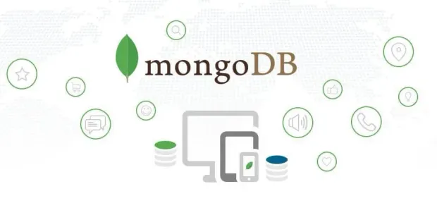 self-hosted-mongo
