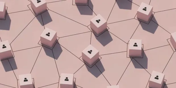 zero-party-data