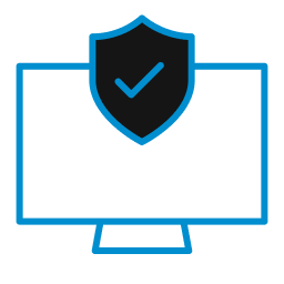 Enterprise & Platform Security