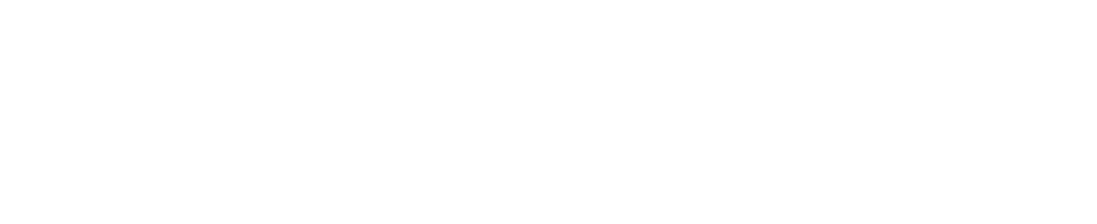 evidian-enterprise-sso