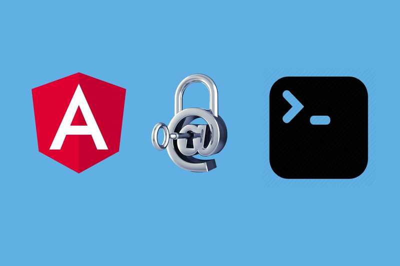 Implement Authentication in Angular 2+ application using LoginRadius CLI in 5 mins