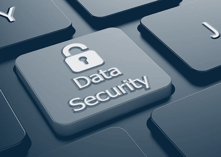 Safeguarding Data Privacy and Security