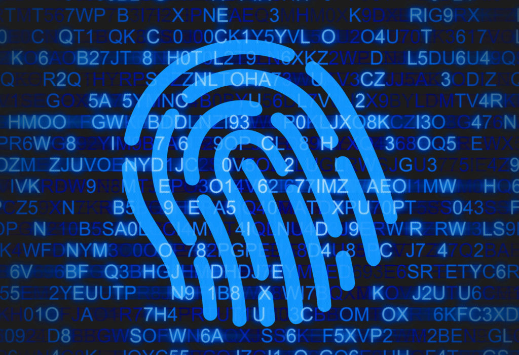 illustration of fingerprint on top of computer code.